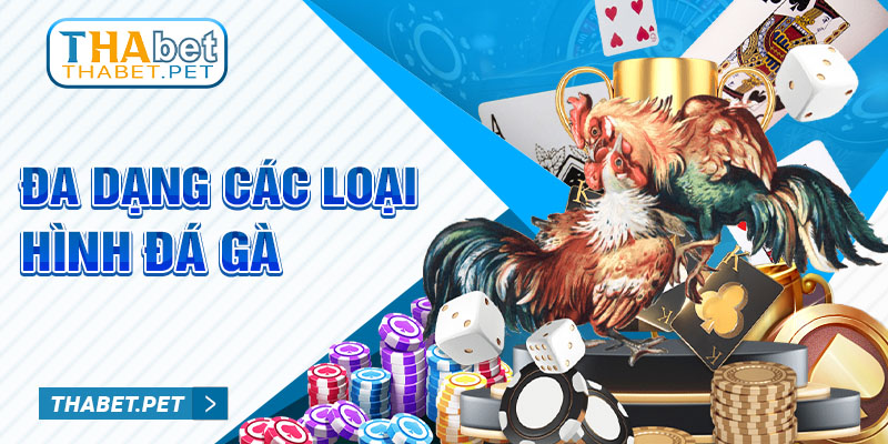 Đa dạng các loại hình đá gà